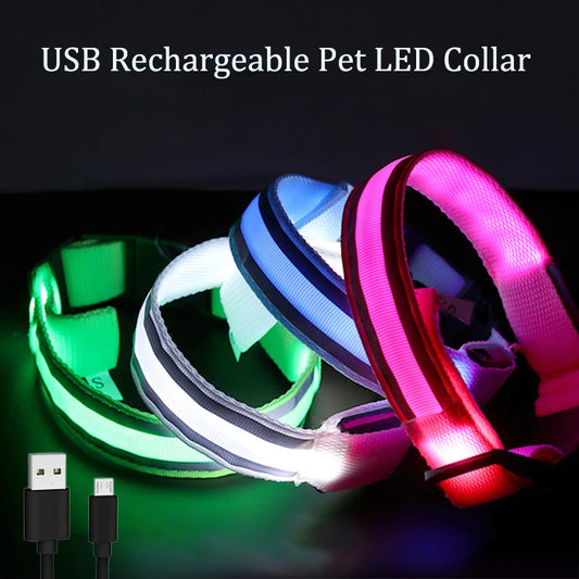Glowing Nylon Dog Collar – LED, Reflective, Night Safety