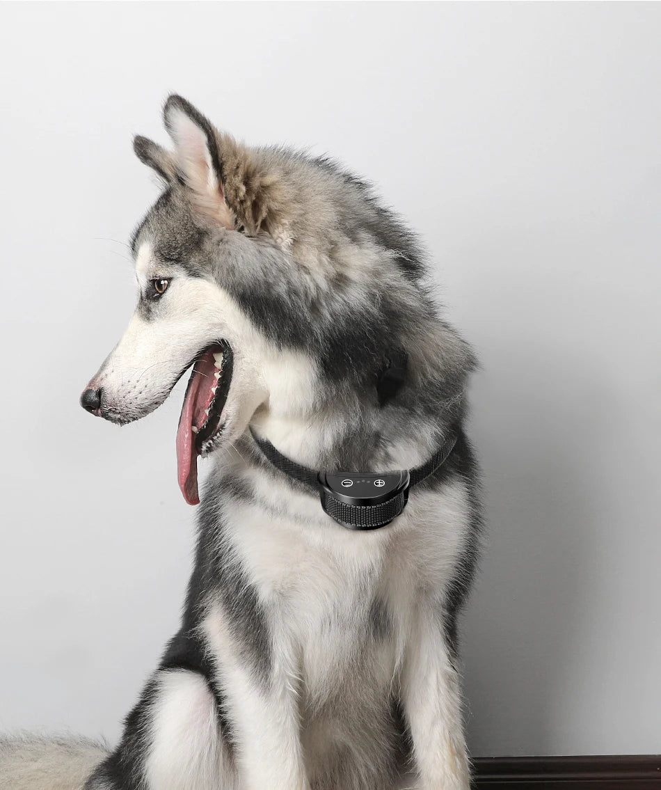 ROJECO Electric Dog Anti Bark Shock Collar Rechargeable Dogs Training Bark Control Collars For Pet Automatic Dog Barking Stopper