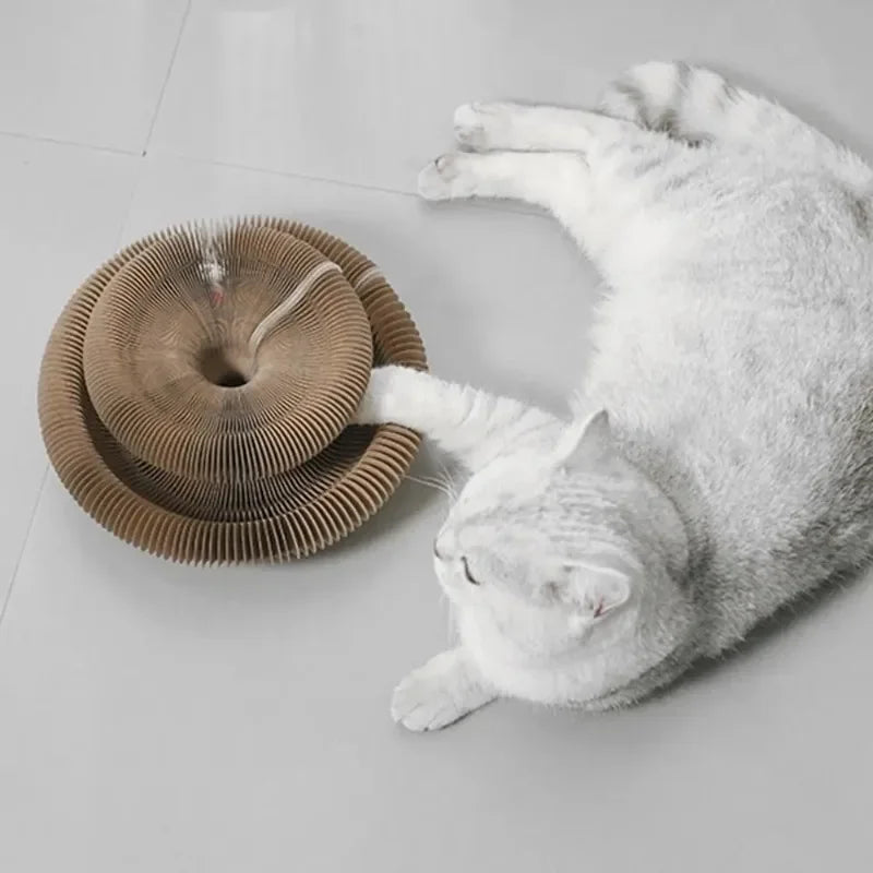Cat Accordion Scratcher – Scratch Pad, Toy Ball & Kitty Set