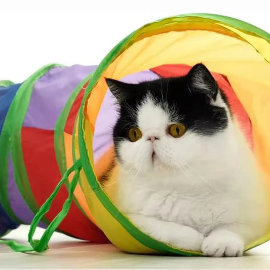 Collapsible Cat Tunnel Toy – Indoor & Outdoor Play