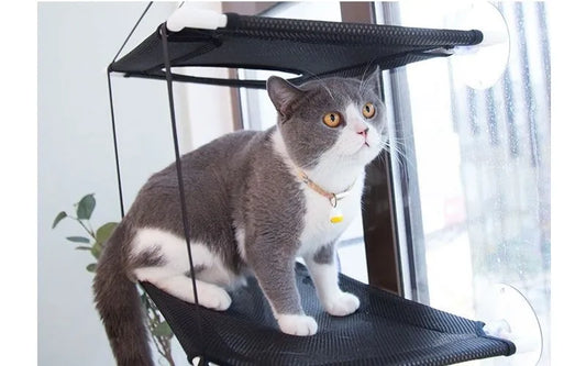 Double-Decker Cat Window Hammock – Suction Cup Wall Mount