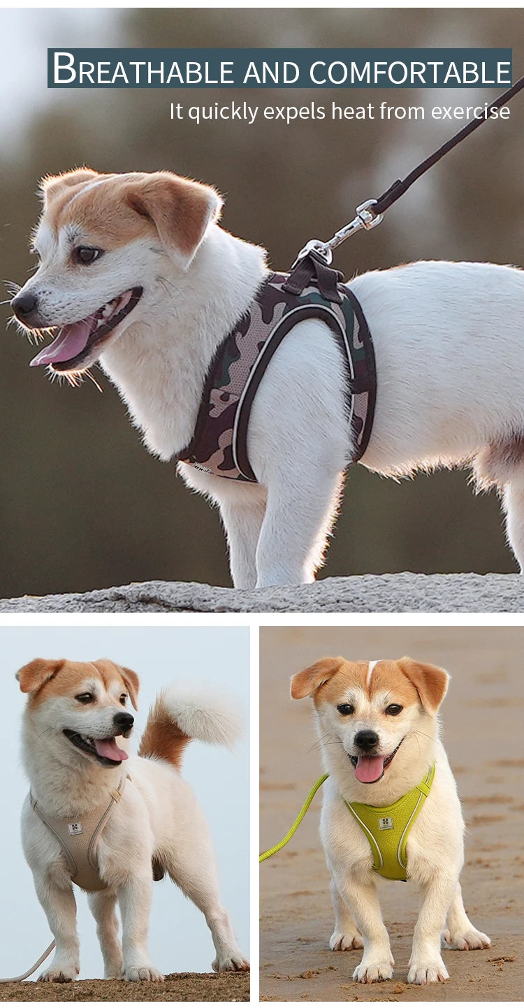 Reflective Dog Harness & Leash Set – Adjustable Vest