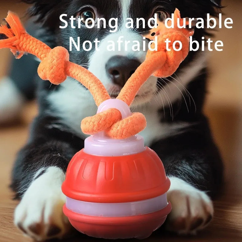 Motion-Activated Squeaky Rolling Dog Toy Ball