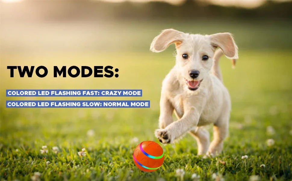 Remote Control Interactive Pet Ball – Waterproof, Flashing