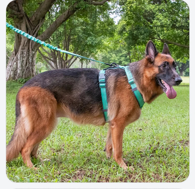 Comfortable Adjustable H-Shaped Large Dog Harness Washable Nylon Nighttime Reflective No Pull Pet Vest Harness Arnés Para Perros