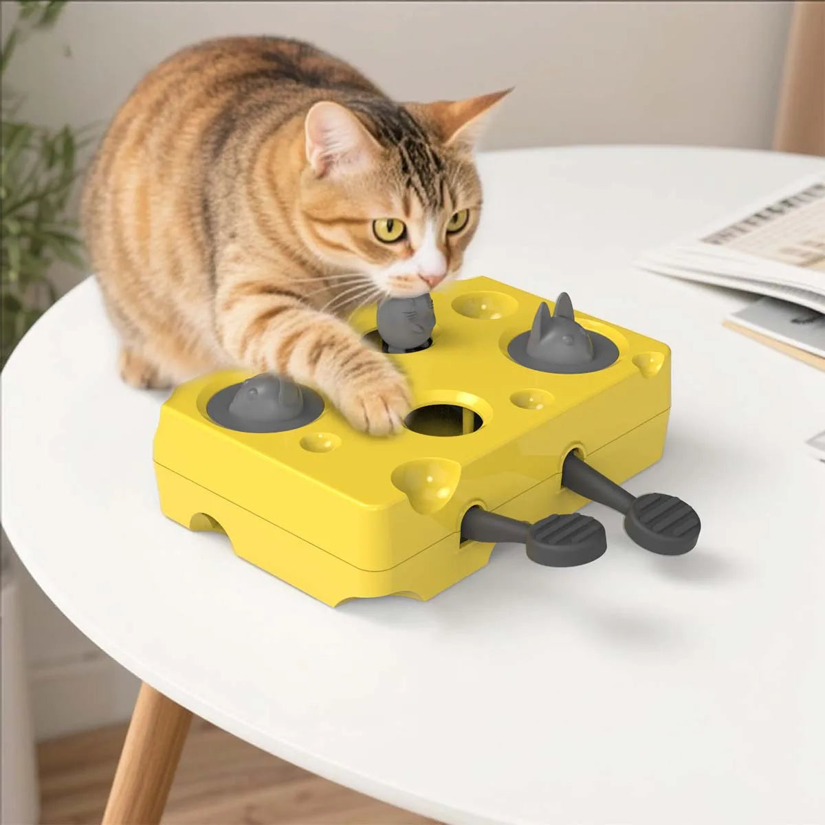 Anti-Choke Mouse Cat Trainer Toy – Focus & Energy