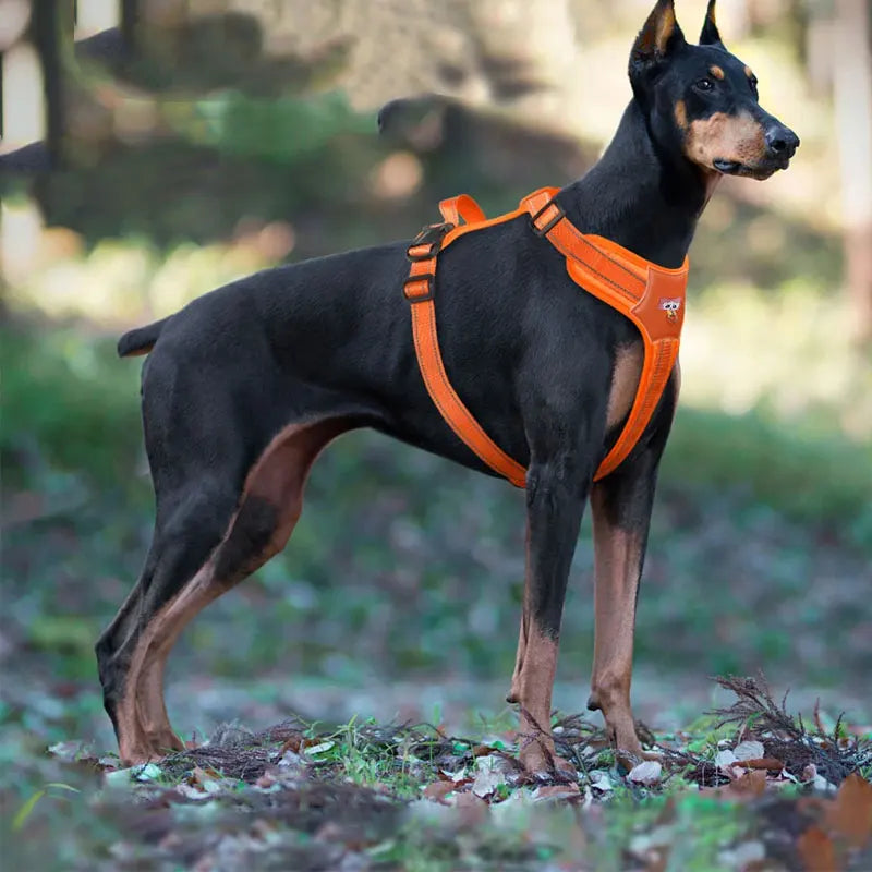 Doberman Pinscher Dog Harness Reflective Medium Large Dog Tactical Vest Large Waterproof Dog Harness Pet Accessories Supplies