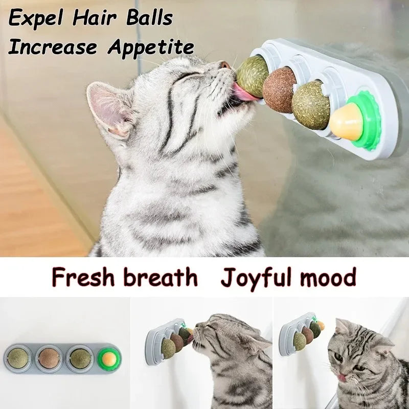 Catnip & Silver Vine Cat Toy Ball – Teeth Cleaning & Digestive Health