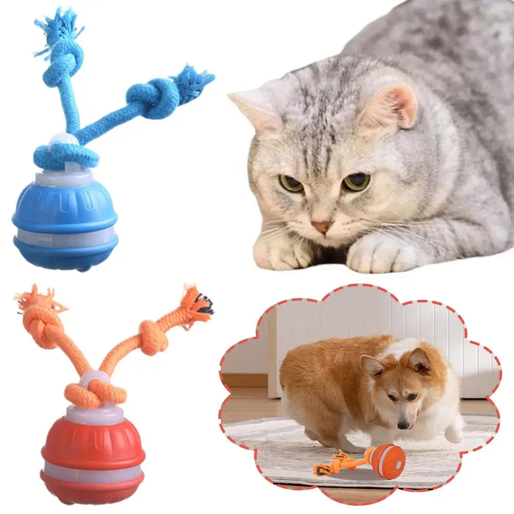 Auto-Rolling Interactive Dog Toy Ball – USB Rechargeable