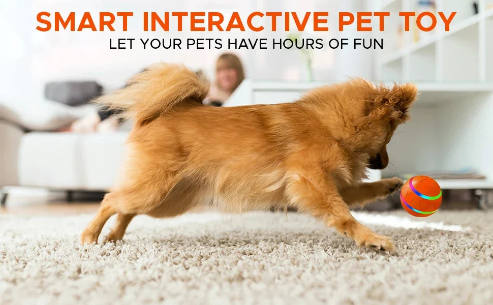 Remote Control Interactive Pet Ball – Waterproof, Flashing