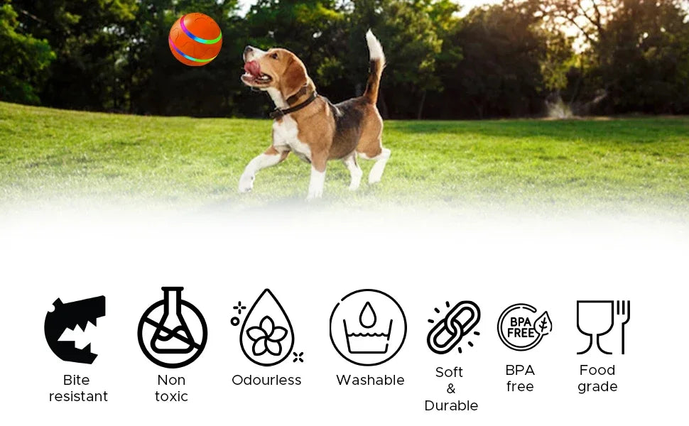 Remote Control Interactive Pet Ball – Waterproof, Flashing
