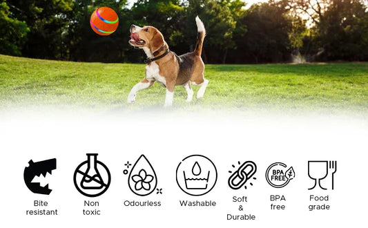 Remote Control Interactive Pet Ball – Waterproof, Flashing