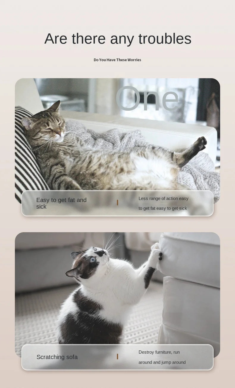 Sisal Cat Scratcher Mat & Bed – Furniture Protector for Indoor Cats