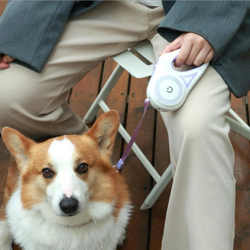 LED Luminous Dog Leash Automatic Retractable Leash for Medium Dogs Outdoor Small Pet Traction Rope Dog Accessories Pet Supplies