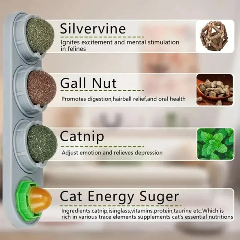 Catnip & Silver Vine Cat Toy Ball – Teeth Cleaning & Digestive Health