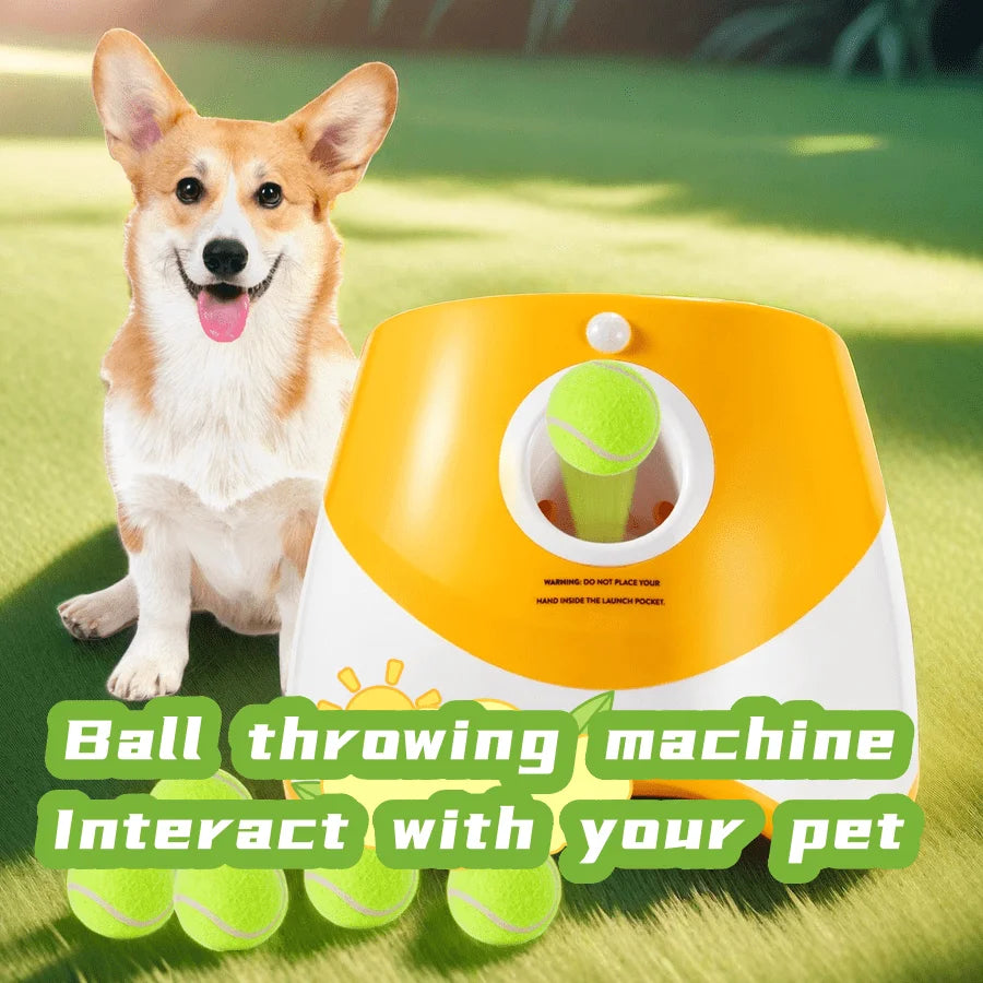 Automatic Tennis Ball Launcher for Dogs – USB Rechargeable