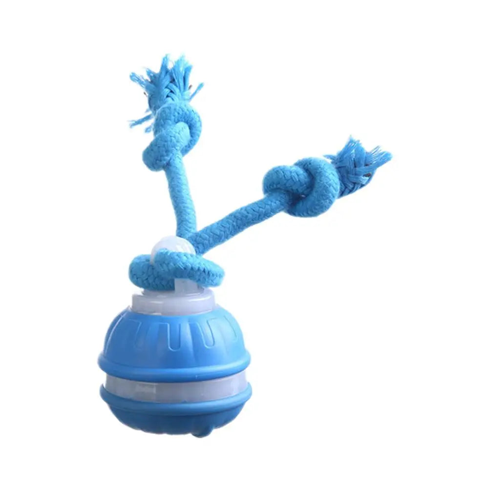Auto-Rolling Interactive Dog Toy Ball – USB Rechargeable