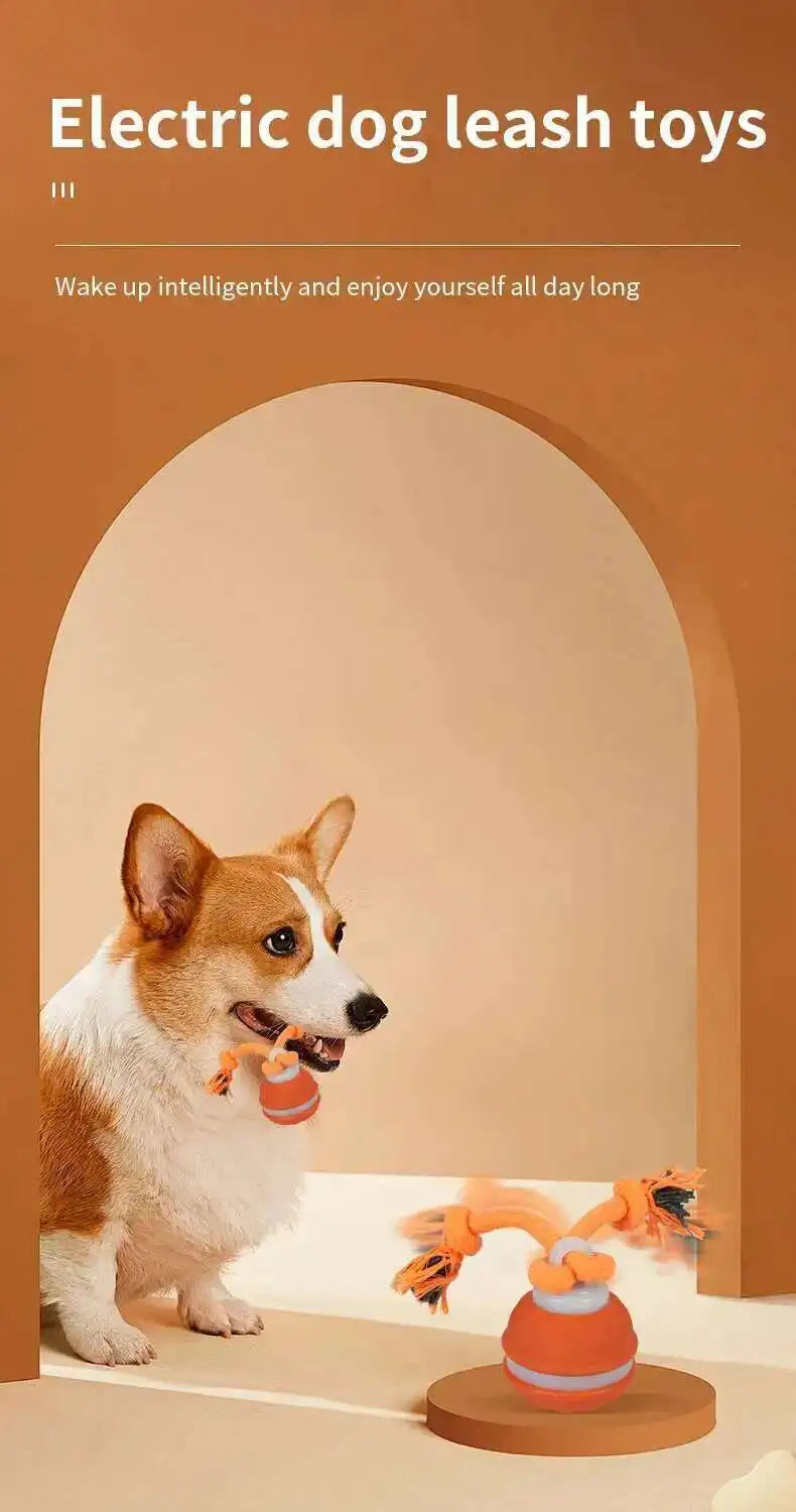 Motion-Activated Squeaky Rolling Dog Toy Ball