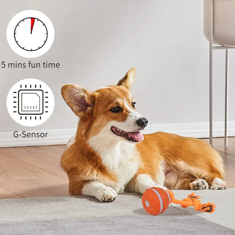 Auto-Rolling Interactive Dog Toy Ball – USB Rechargeable