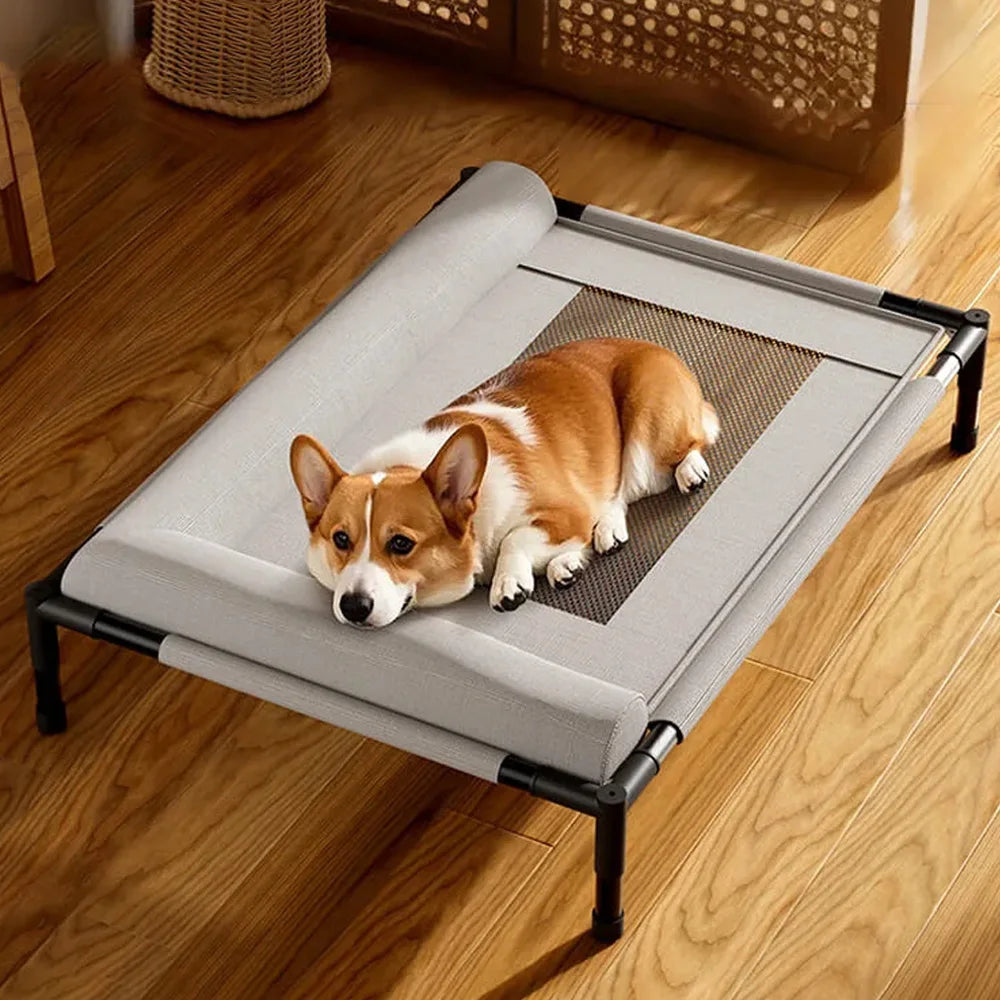 Raised Breathable Mesh Pet Bed with Pillow – Cats & Dogs