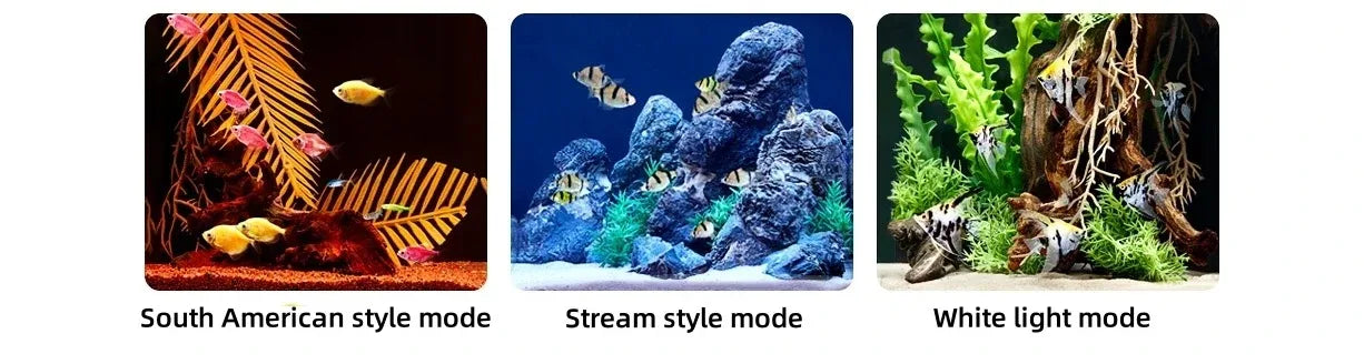 Xiaomi Mijia Smart Desktop Aquarium 10L with display, app control, feeding system, and filtration setup.