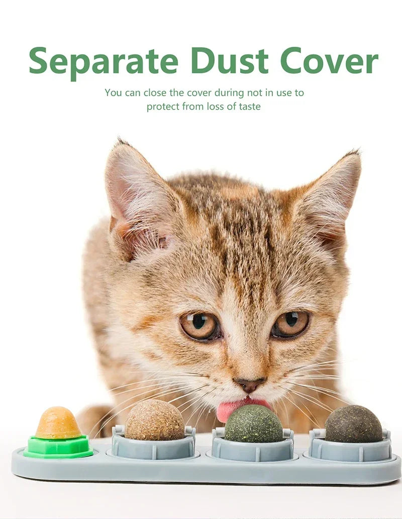 Catnip & Silver Vine Cat Toy Ball – Teeth Cleaning & Digestive Health