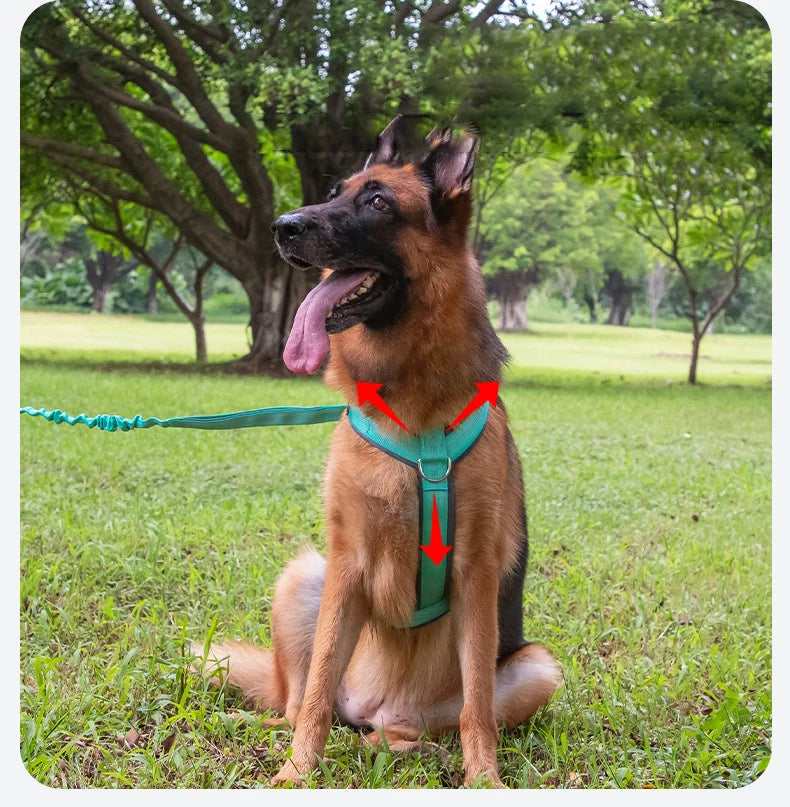 Comfortable Adjustable H-Shaped Large Dog Harness Washable Nylon Nighttime Reflective No Pull Pet Vest Harness Arnés Para Perros