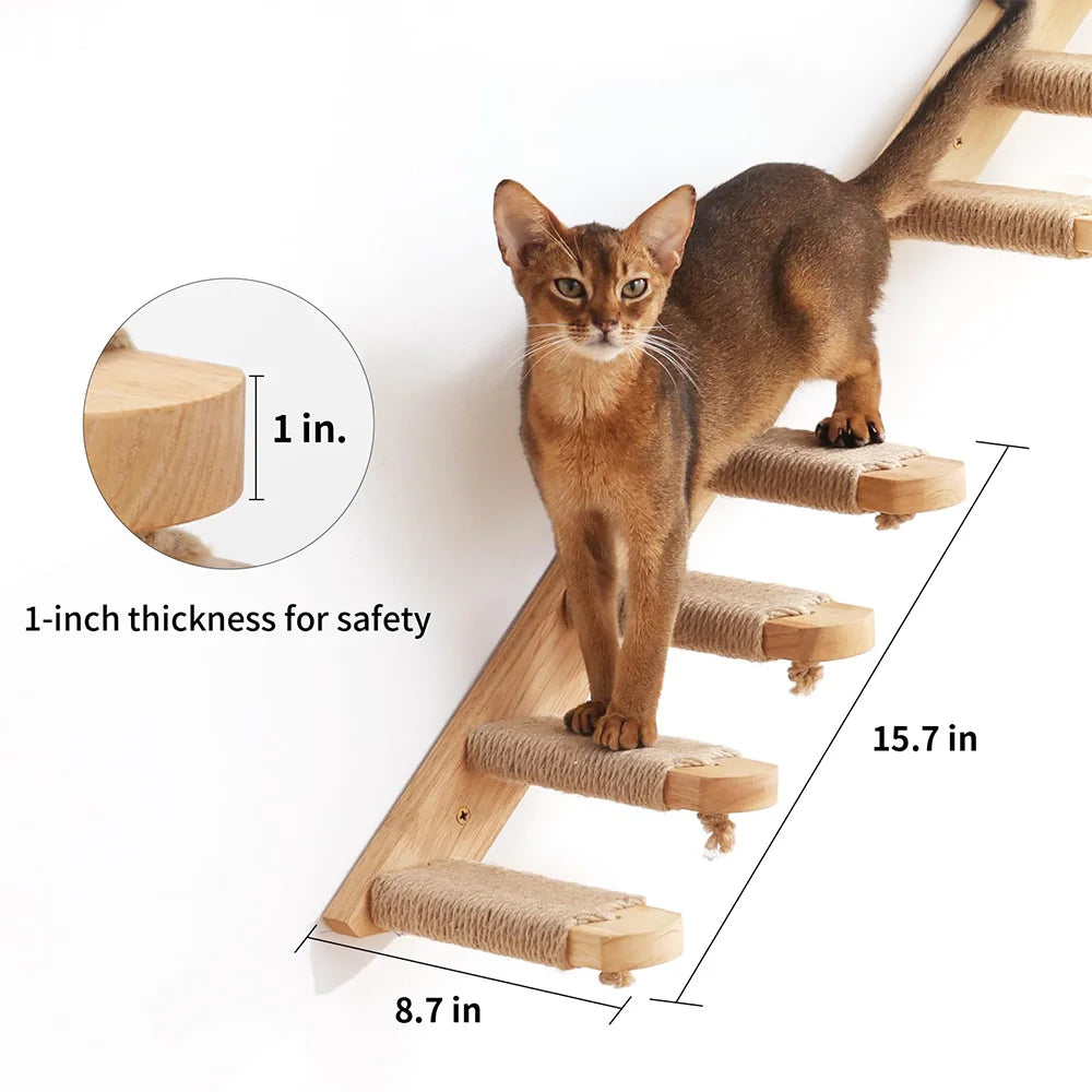 Wall-Mounted Cat Climbing Shelves with Hammock & Steps