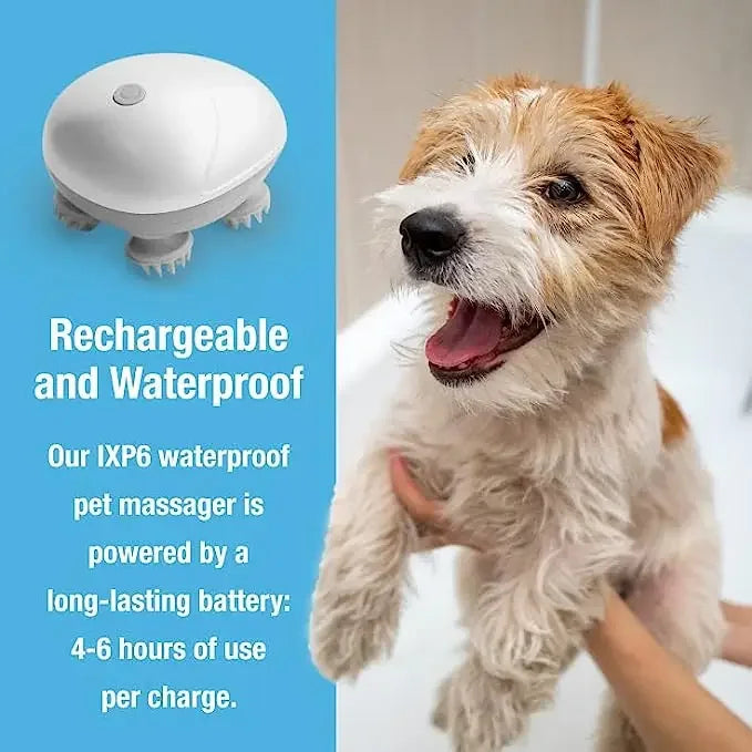 Electric Pet Head & Back Massager – Tension Relief