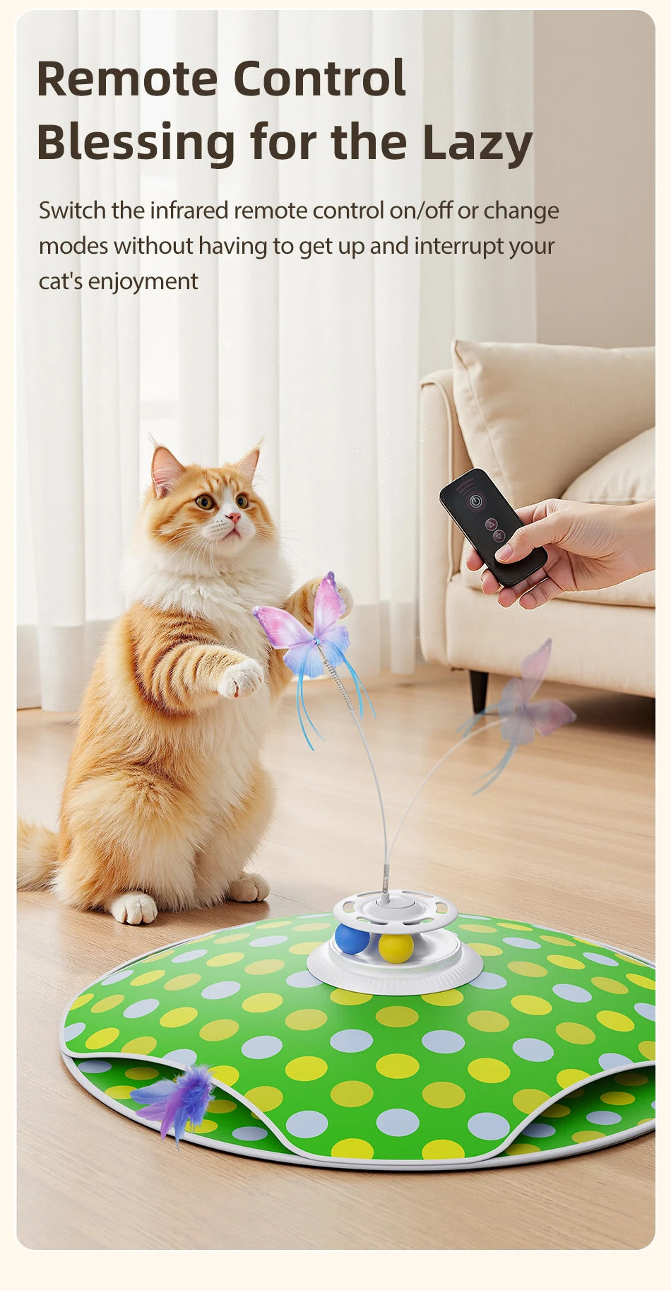 3-in-1 Hide & Seek Cat Toy – Feather, Butterfly & Track Balls