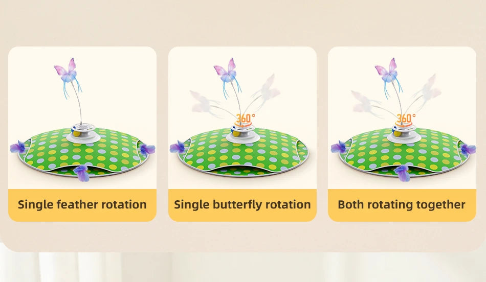 3-in-1 Hide & Seek Cat Toy – Feather, Butterfly & Track Balls