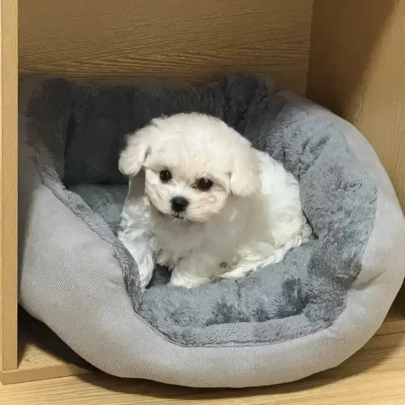 Soft Warm Dog Sofa Bed – Medium & Large Dogs