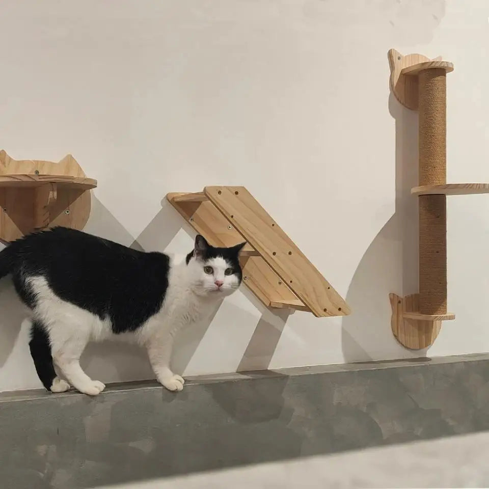 Wall-Mounted Wooden Cat Shelves with Sisal Post & Hammock