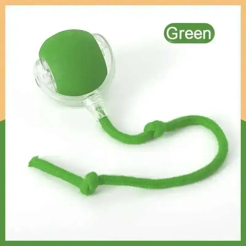 Interactive RGB Dog & Cat Toy Ball – USB Auto-Bouncing
