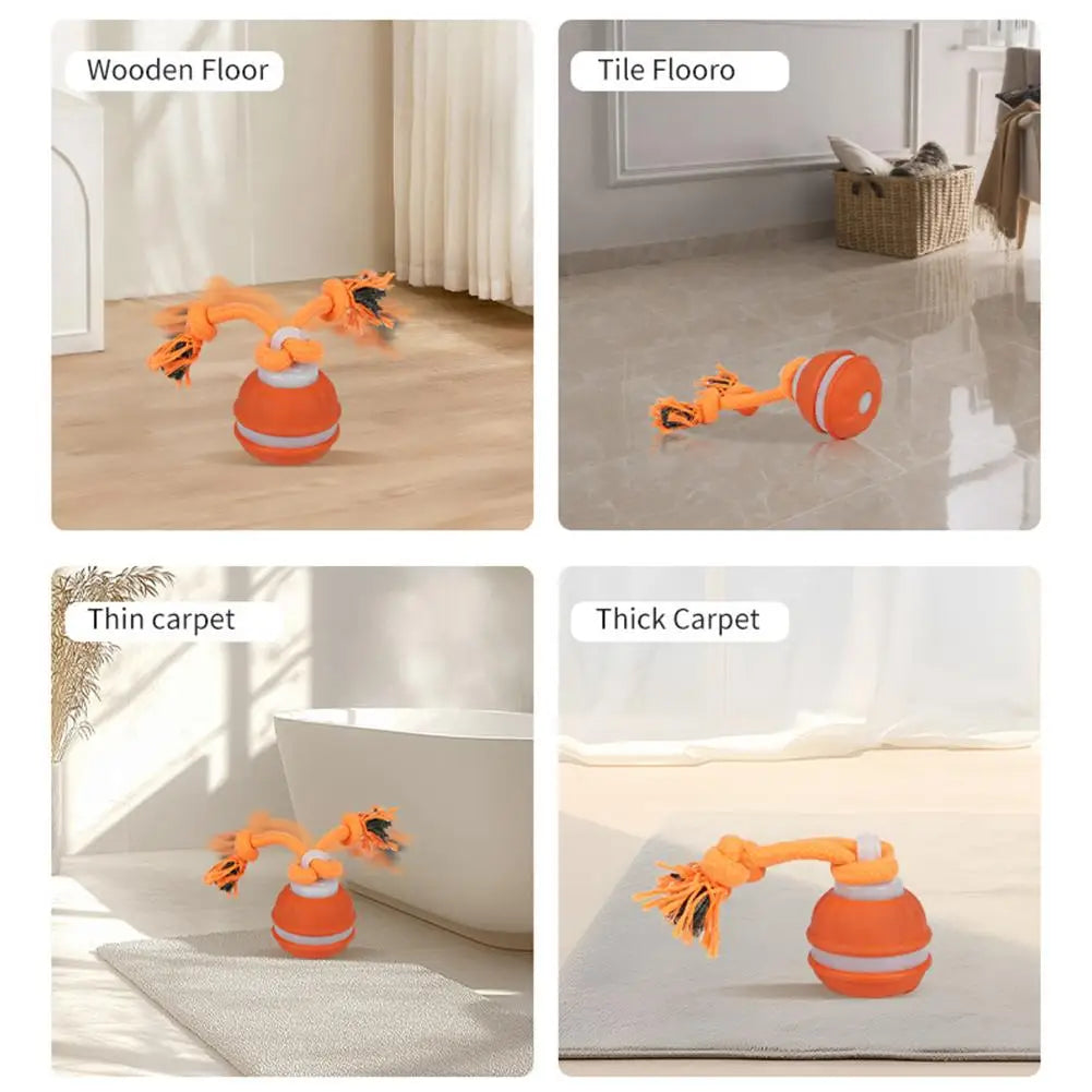 Auto-Rolling Interactive Dog Toy Ball – USB Rechargeable
