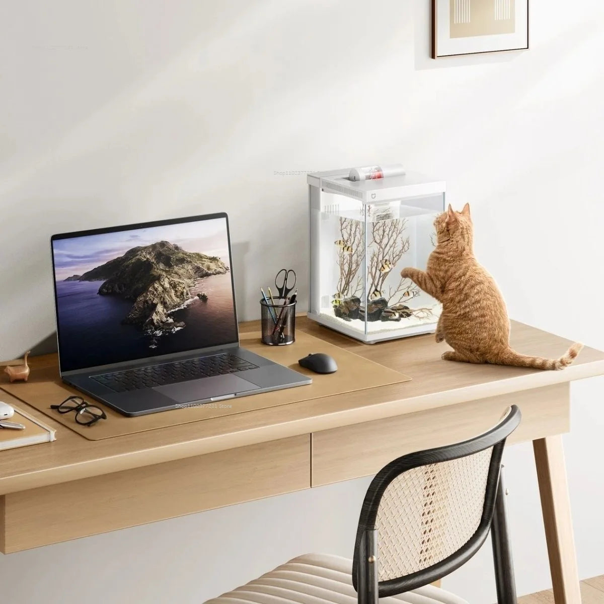 Xiaomi Mijia Smart Desktop Aquarium 10L with app-controlled feeding and filtration, set up on a wooden stand with aquatic plants.
