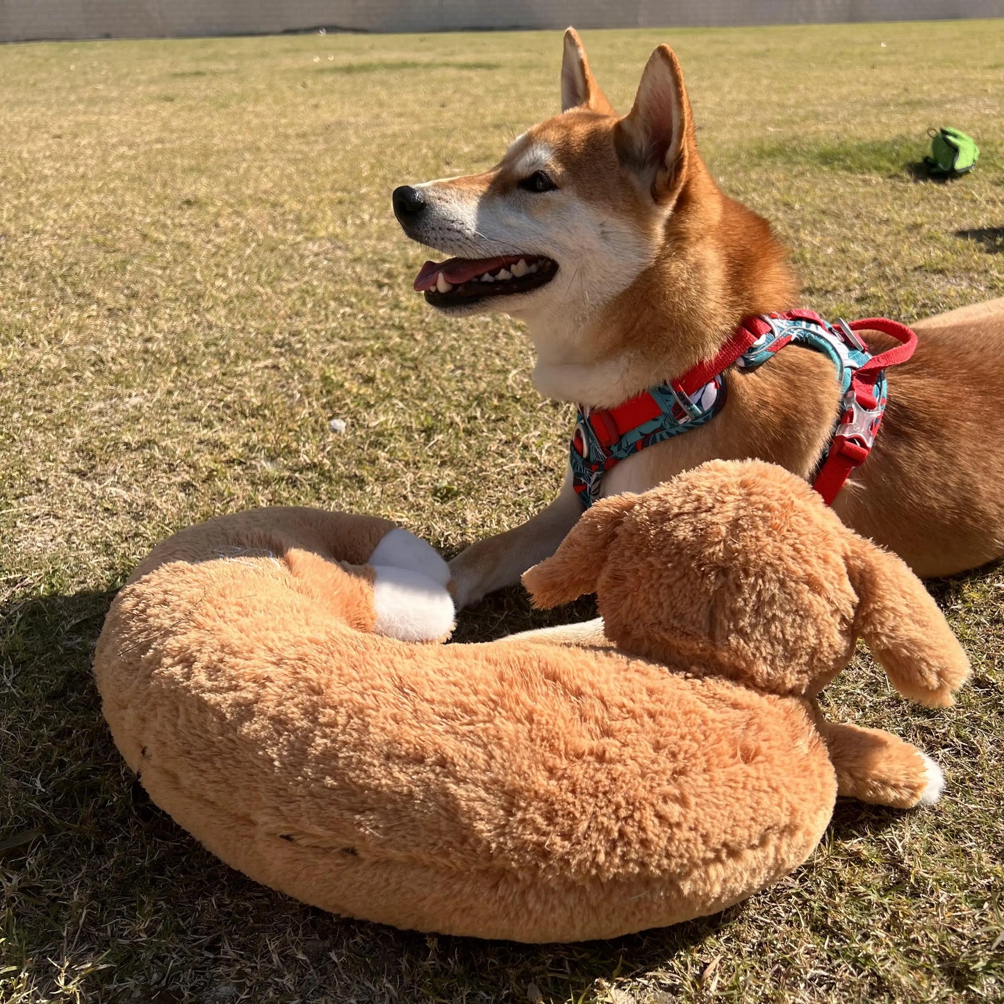 Curved Pillow Heartbeat Dog Toy – Comfort & Training
