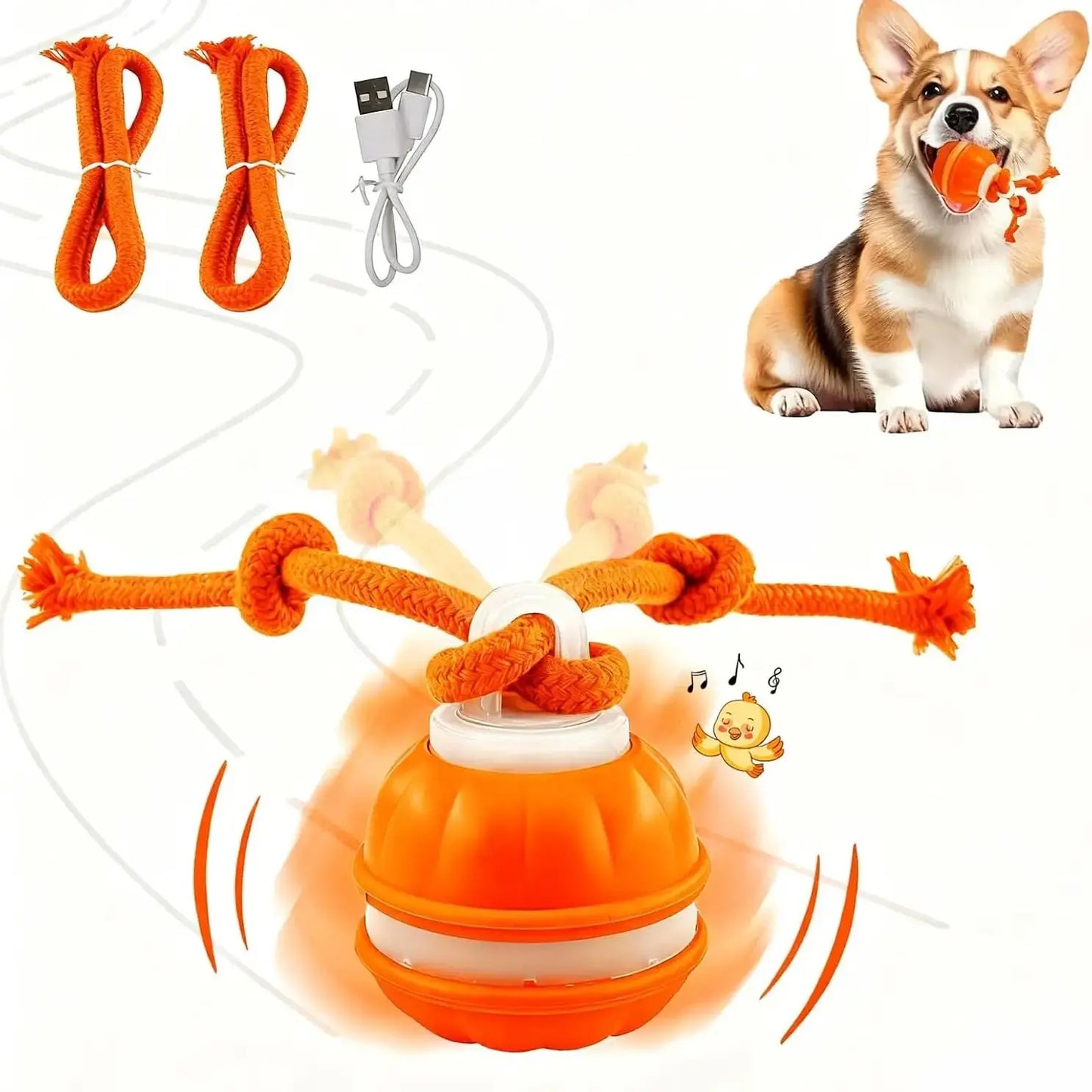 Electronic Rolling Dog Toy Ball with Rope
