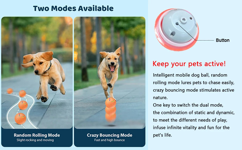 Interactive RGB Dog & Cat Toy Ball – USB Auto-Bouncing