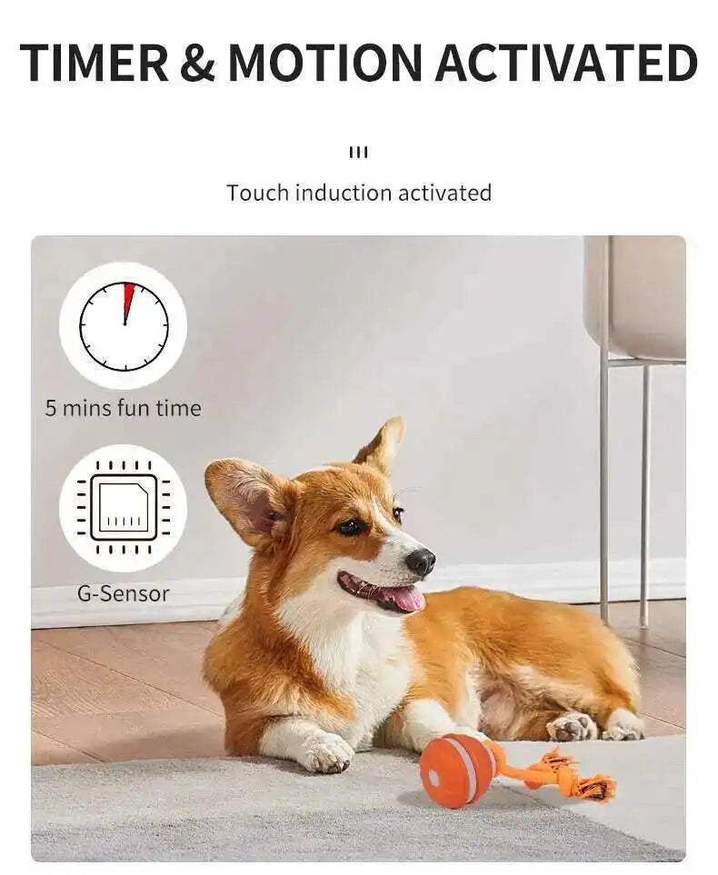 Motion-Activated Squeaky Rolling Dog Toy Ball