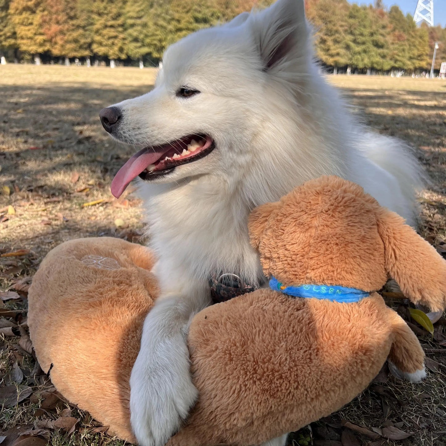 Curved Pillow Heartbeat Dog Toy – Comfort & Training