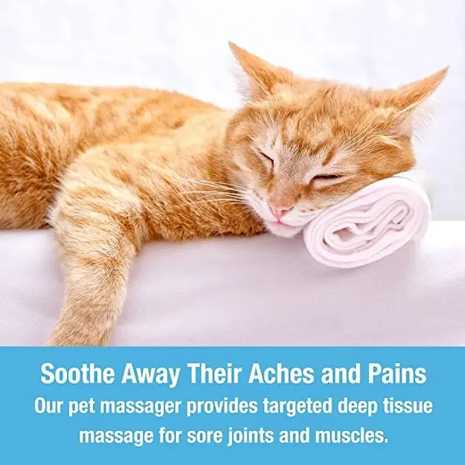 Electric Pet Head & Back Massager – Tension Relief