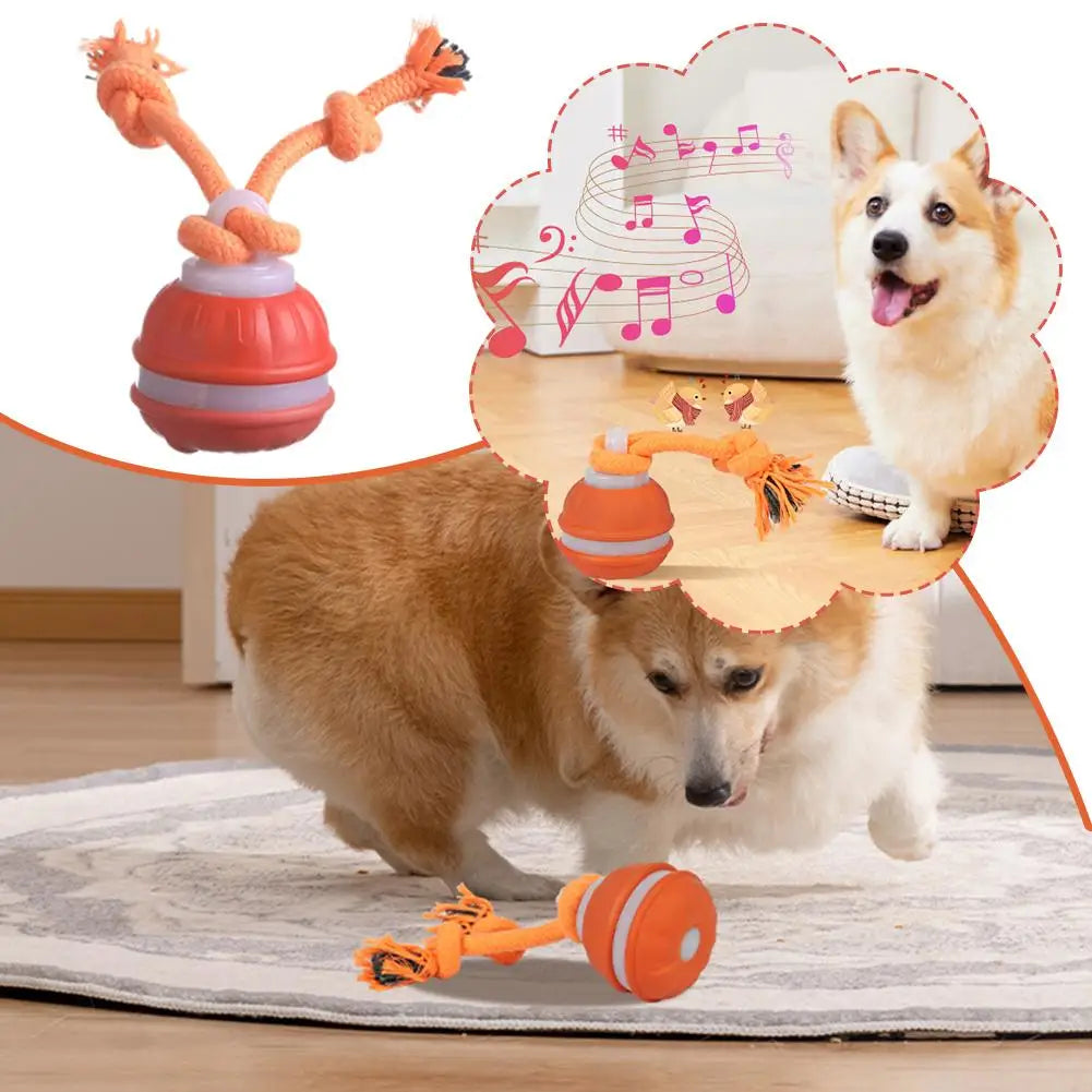 Auto-Rolling Interactive Dog Toy Ball – USB Rechargeable
