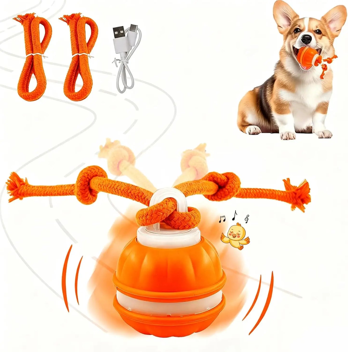 Electronic Rolling Dog Toy Ball with Rope