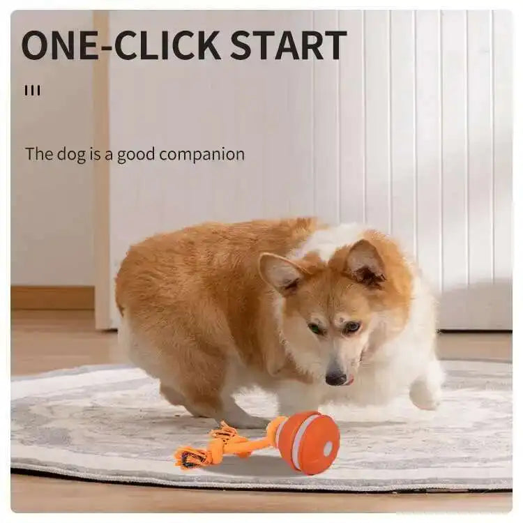Motion-Activated Squeaky Rolling Dog Toy Ball