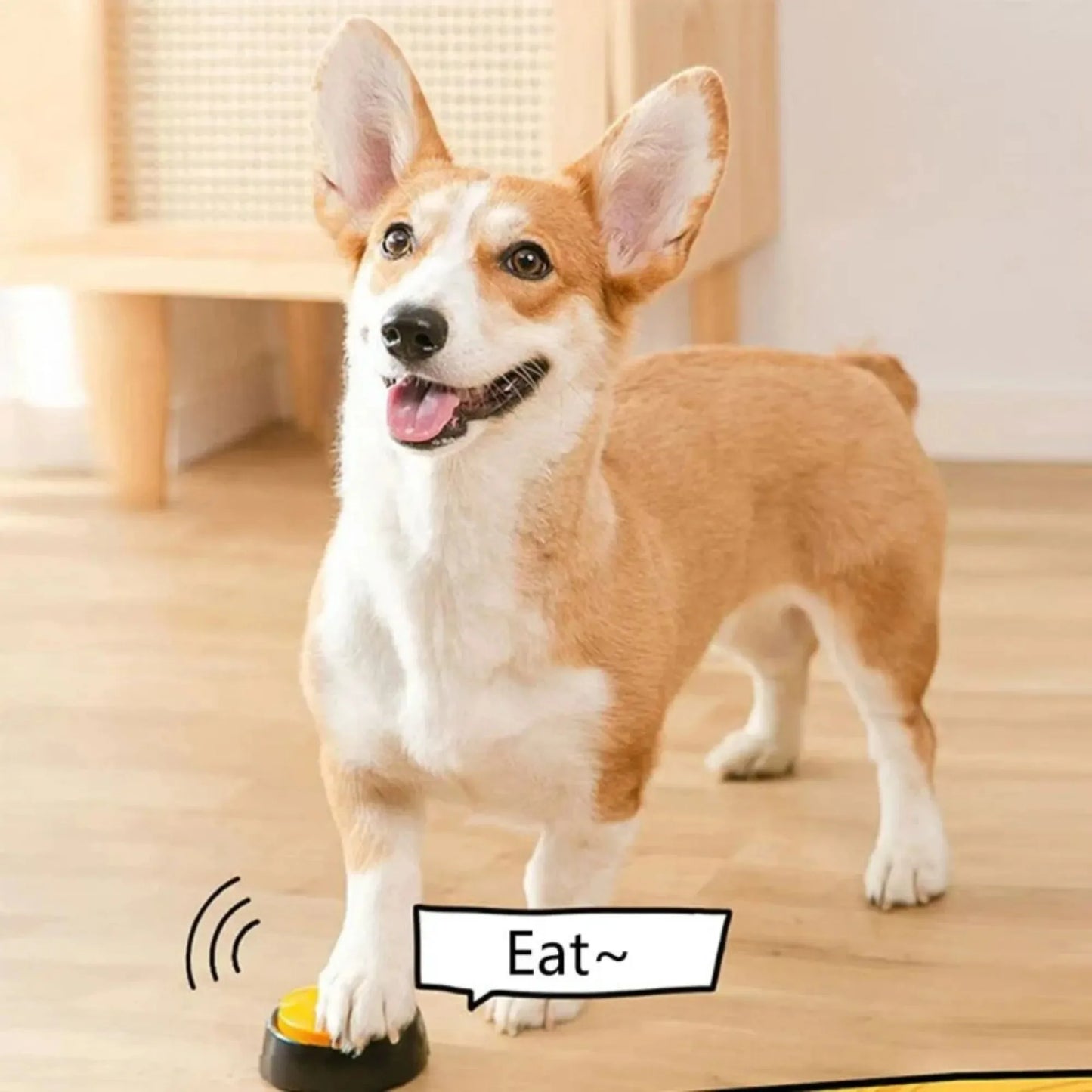 Dog Communication Buttons – Voice Recording Training Buzzer