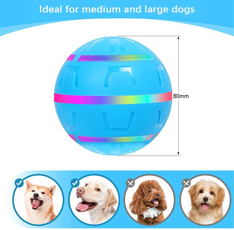 Remote Control Flashing Pet Toy Ball – USB Rechargeable
