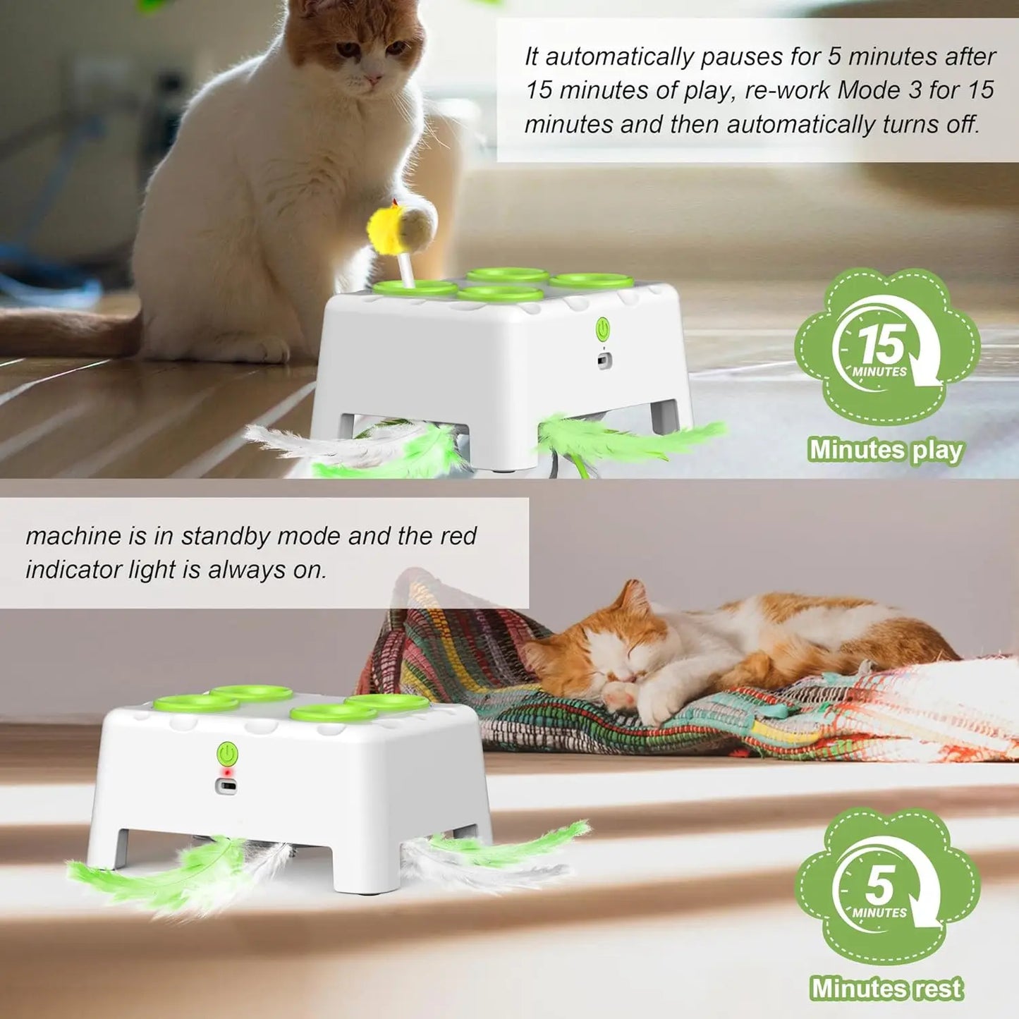 Whack-a-Mole Auto Pop-Up Cat Toy – Rechargeable Feather