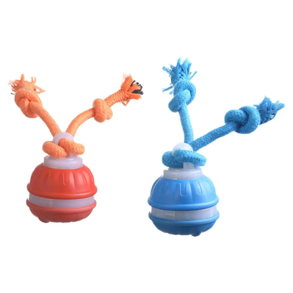 Auto-Rolling Interactive Dog Toy Ball – USB Rechargeable