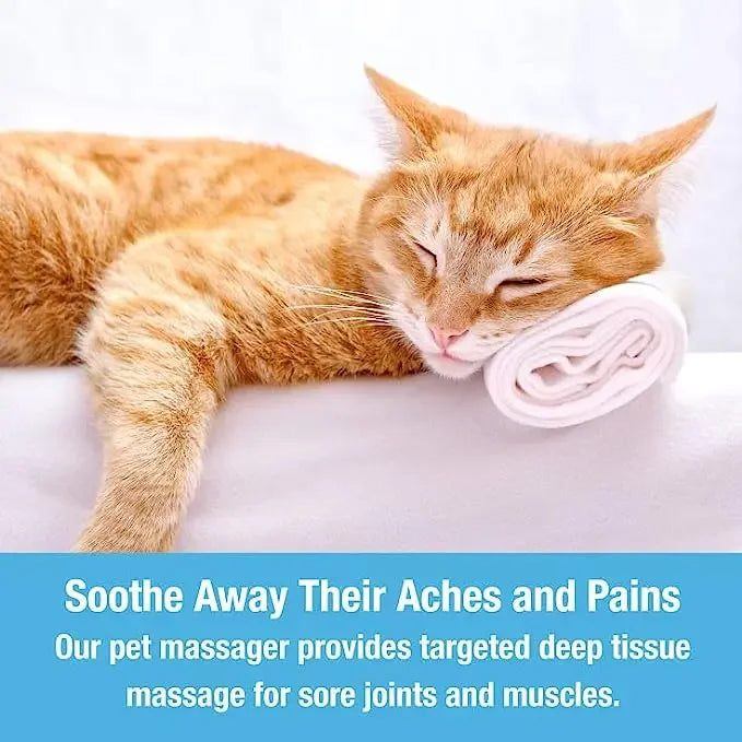 Electric Pet Head & Back Massager – Tension Relief